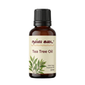 Tea Tree Oil / தேயிலை மரம் எண்ணெய்